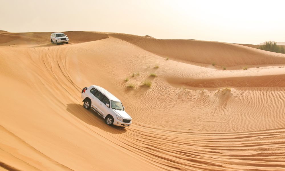 Best Things to do in Desert Safari Dubai