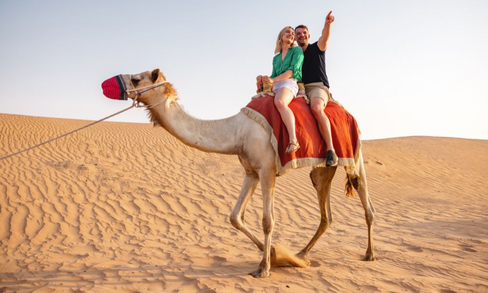 Enjoy camel riding to explore the desert