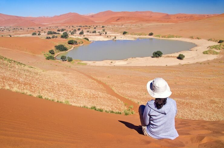 dubai desert conservation reserve (ddcr): a complete guide to محمية دبي الصحراوية
