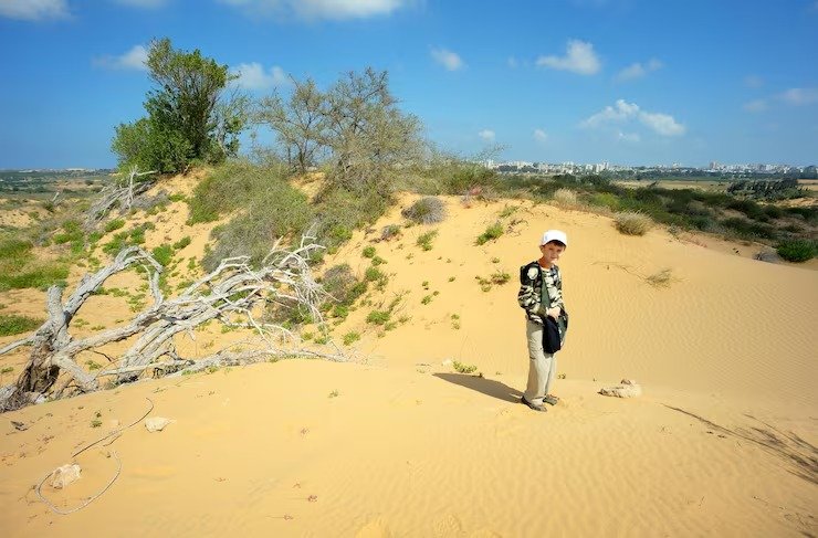 dubai desert conservation reserve (ddcr): a complete guide to محمية دبي الصحراوية