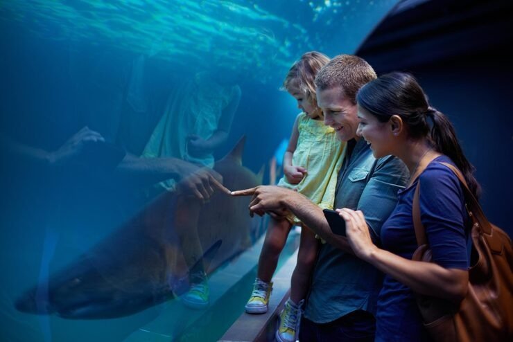 Atlantis Aquaventure Visiting Guide