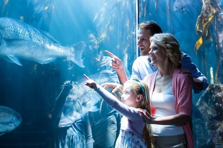Atlantis Aquaventure Visiting Guide