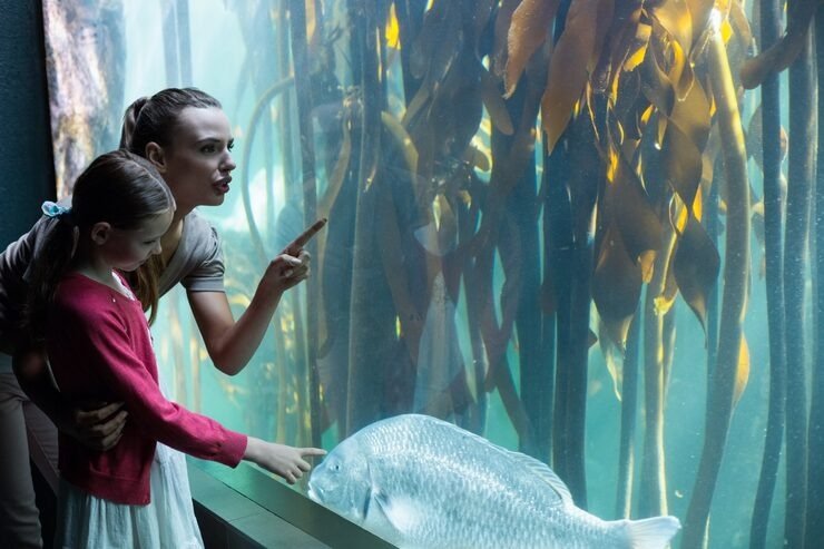 Atlantis Aquaventure Visiting Guide